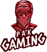 pkpakgaming.com Logo